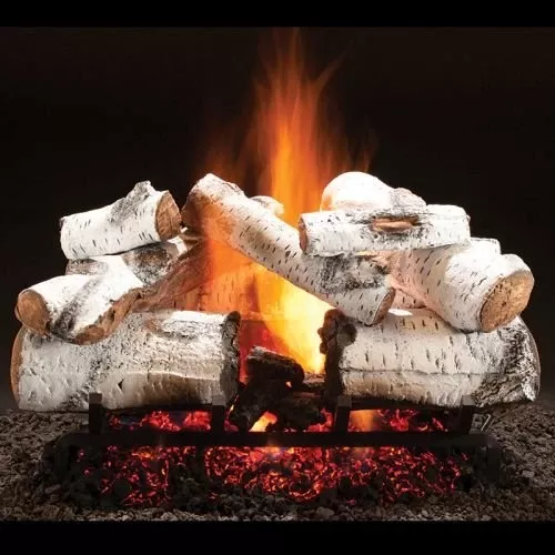 24″ Aspen Timbers Logs w/Elec. Variable On/Off Ignition Burner – NG