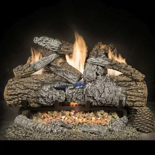 24″ Ridgewood Char XL Logs w/Millivolt Burner (Remote Ready) – LP
