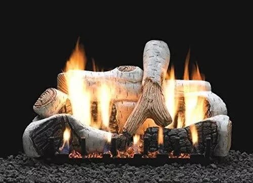 Empire Comfort Systems 24" Birch Logset with VF/V Slope Glaze Burner with Remote for On/Off and Flame Height, LP