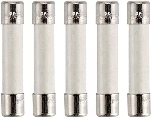 Microwave Ceramic Fuse 20 Amp 250V Slow-Blow Compatible for GE WB27X10388 5 PCS