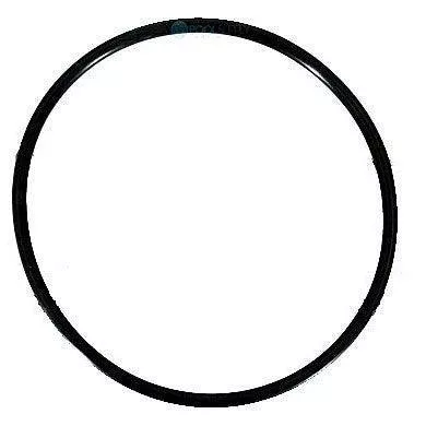 Pentair O-Ring Diffuser - 355227