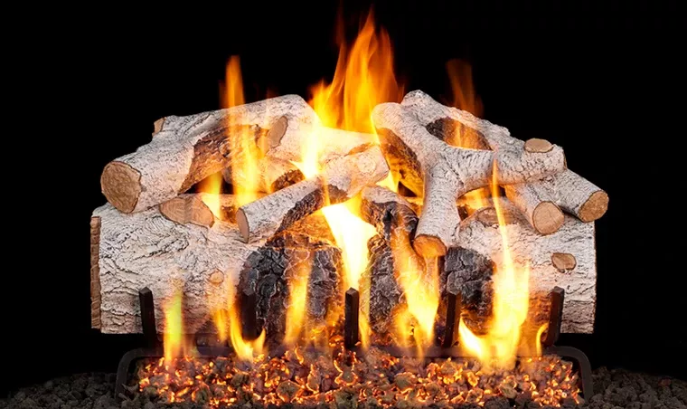 Real Fyre 30" Charred Mountain Birch Gas Log Set - CHMBW-30+G45-30